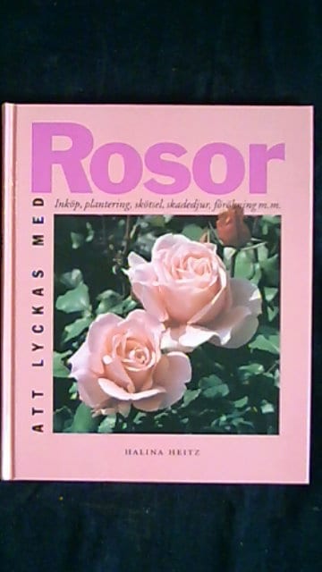 Halina Heitz : Att lyckas med rosor