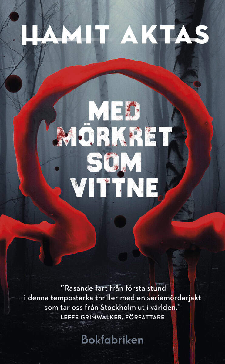 Hamit Aktas : Med mörkret som vittne