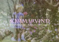 Hanna Bendz : Sommarvind