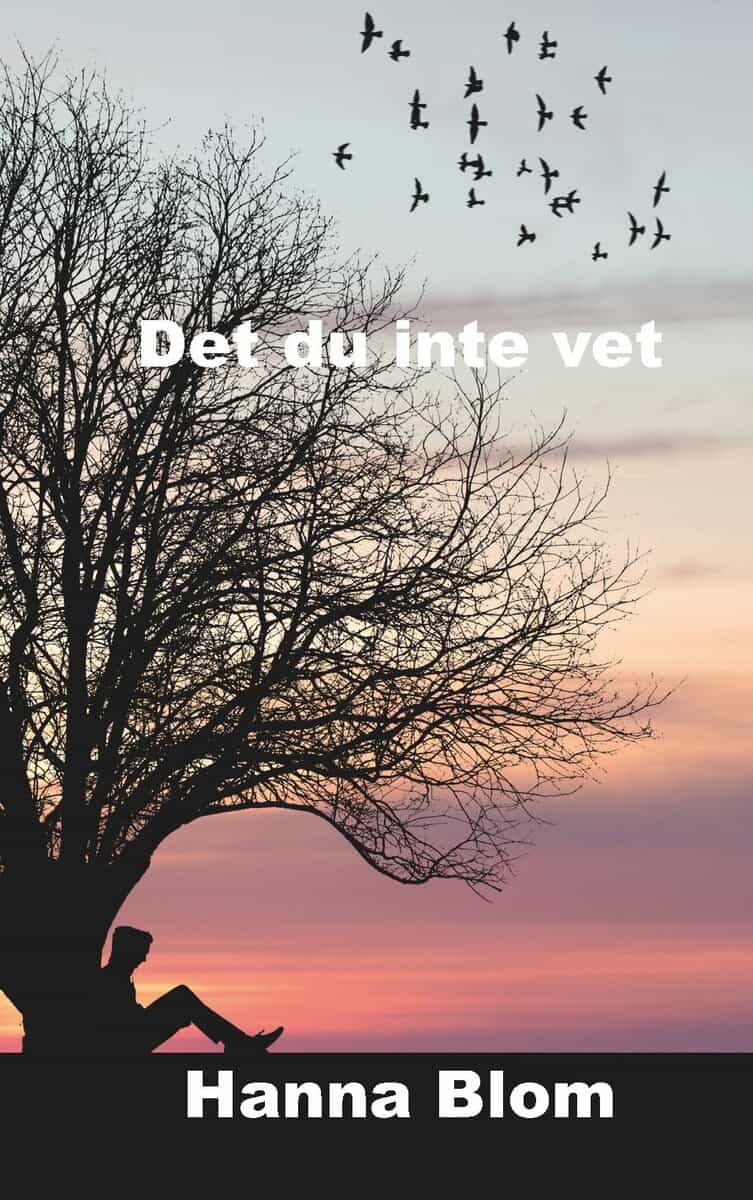 Hanna Blom : Det du inte vet