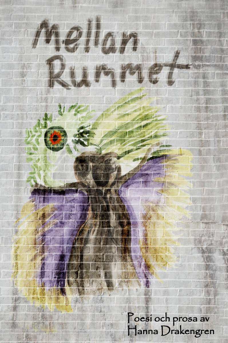 Hanna Drakengren : Mellan rummet