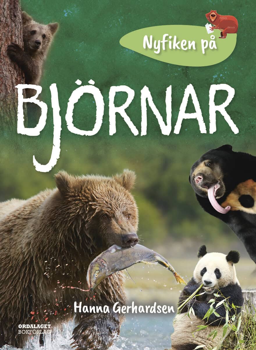 Hanna Gerhardsen : Nyfiken på björnar