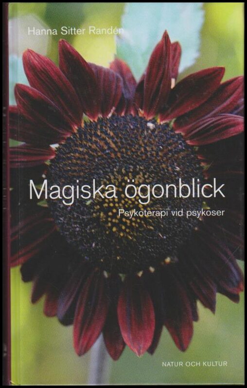 Hanna Sitter Randén : Magiska ögonblick