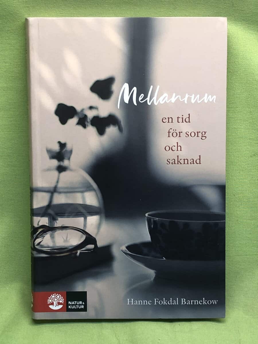 Hanne Fokdal Barnekow : Mellanrum