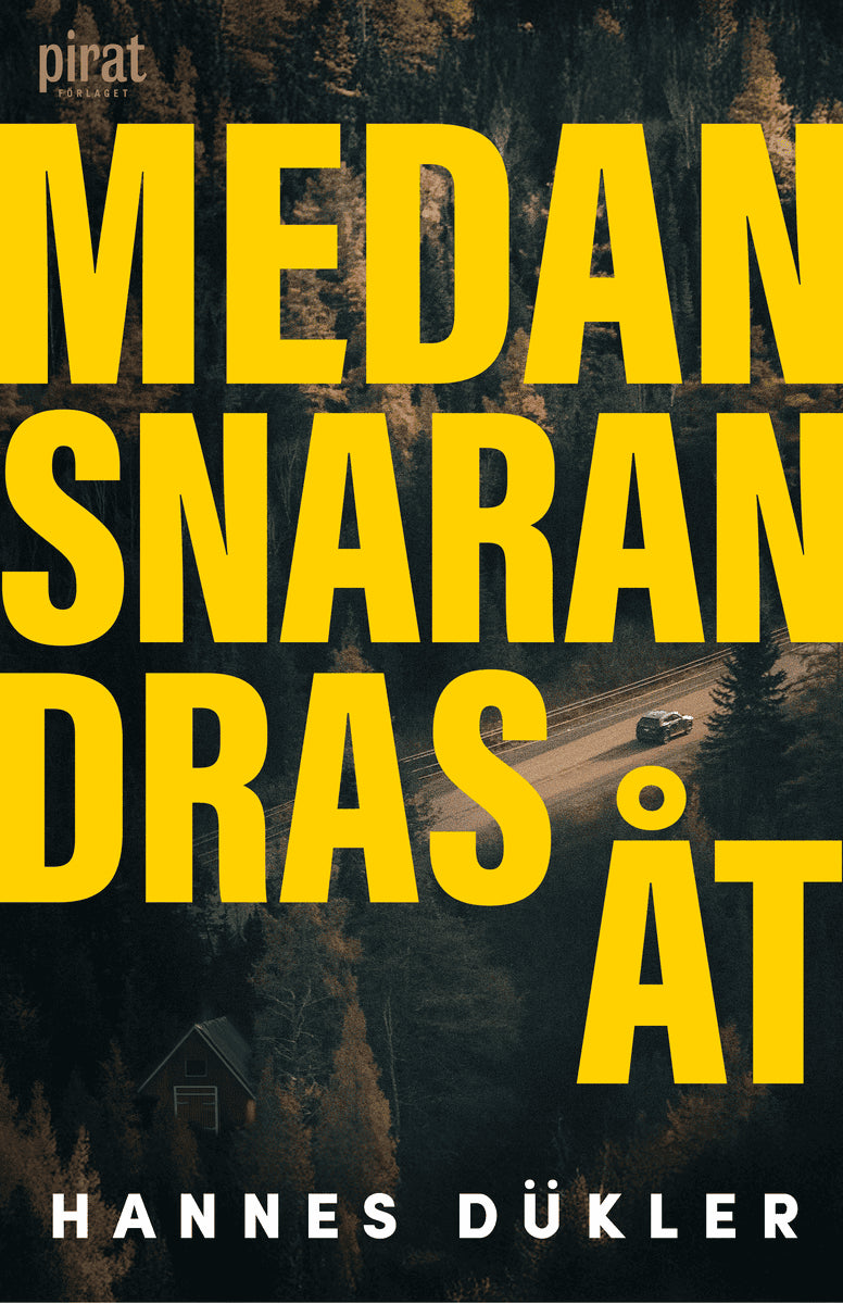 Hannes Dükler : Medan snaran dras år