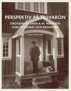 Hans Antonson : Perspektiv på tillvaron