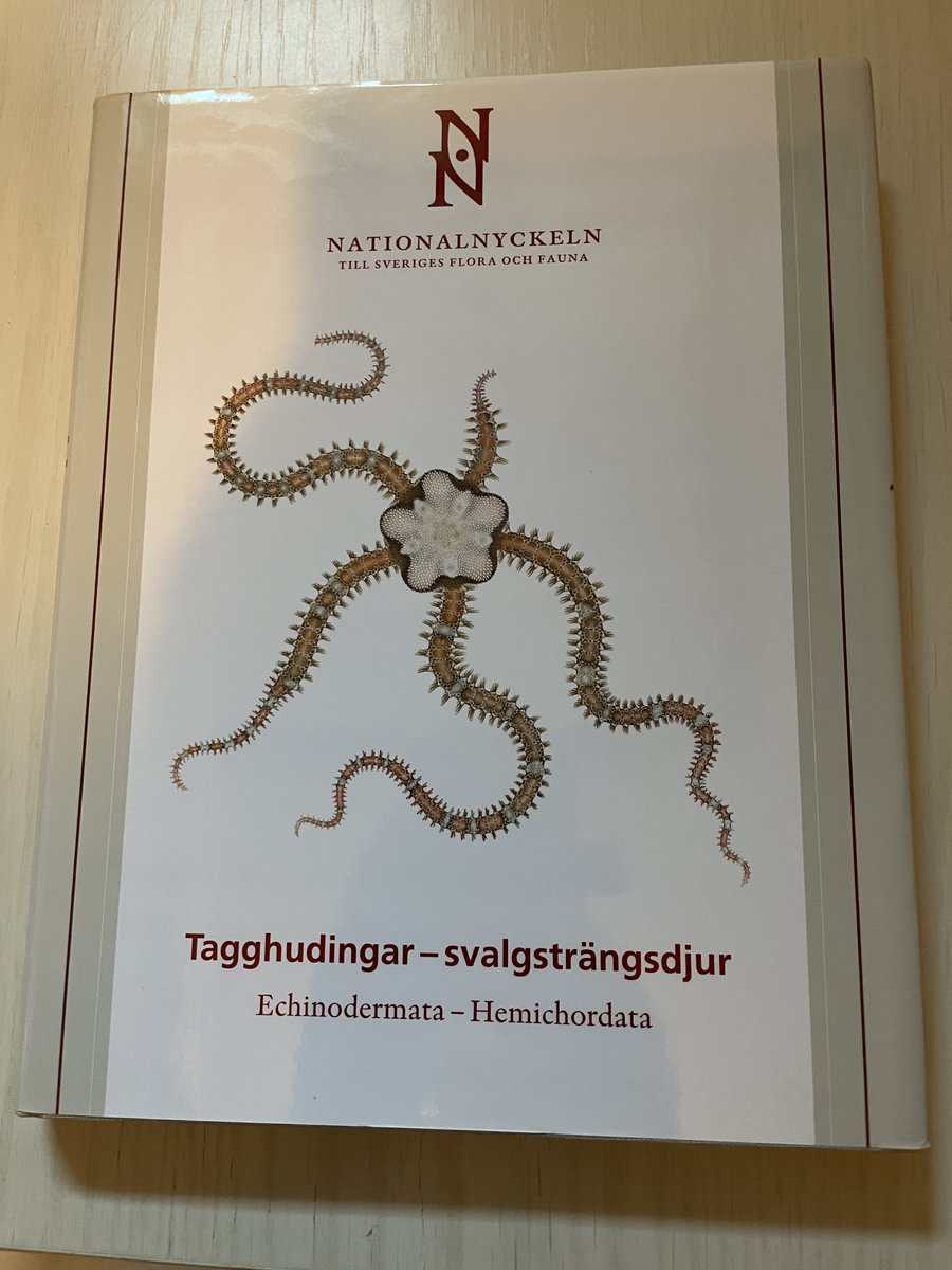 Hans G Hansson : Tagghudingar - svalgsträngdjur - Echinodermata - Hemichordata