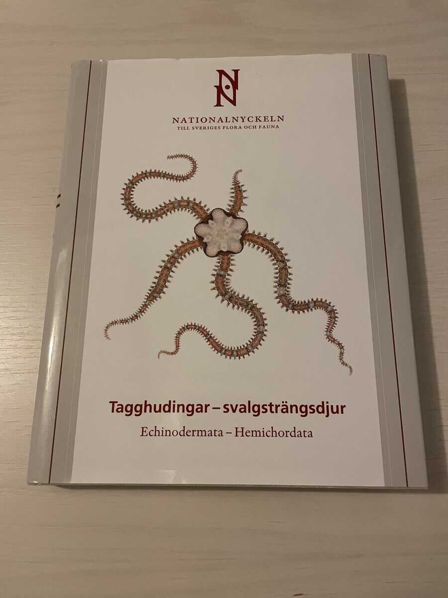 Hans G Hansson : Tagghudingar - svalgsträngdjur - Echinodermata - Hemichordata
