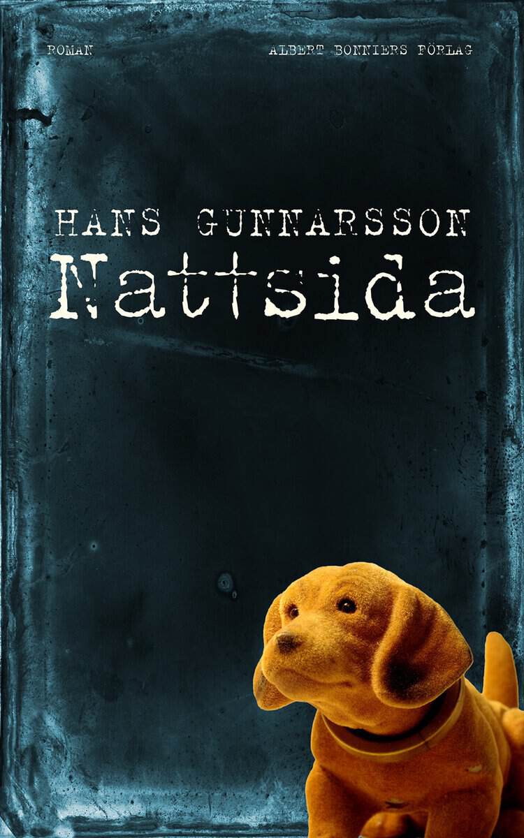 Hans Gunnarsson : Nattsida