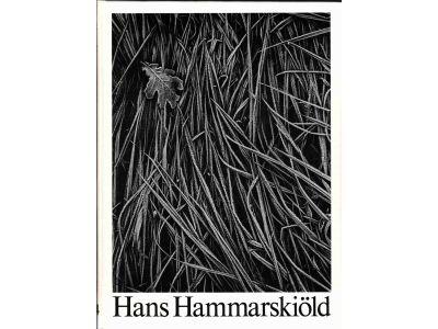 Hans Hammarskiöld : Hans Hammarskiöld - Fotograf