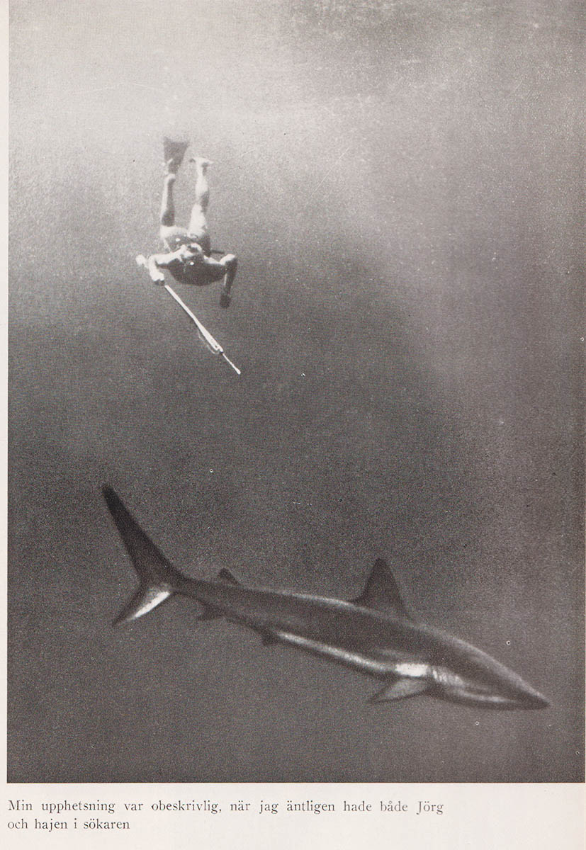 Hans Hass : Bland hajar och koraller