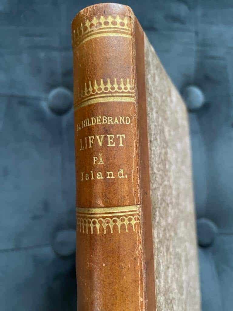 Hans Hildebrand : Lifvet på Island under sagotiden