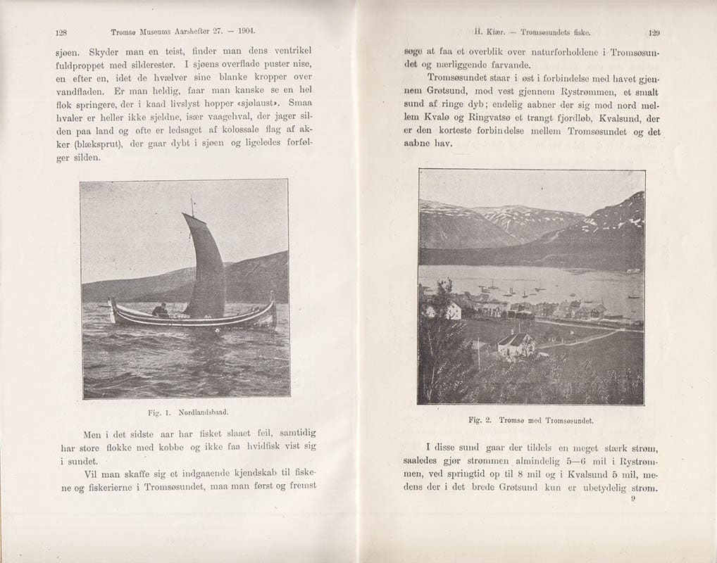 Hans Kiær : Om Tromsøsundets fiske (Med 4 tekstbilleder)