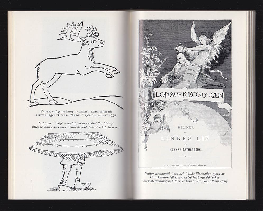 Hans Krook : Angår oss Linné?