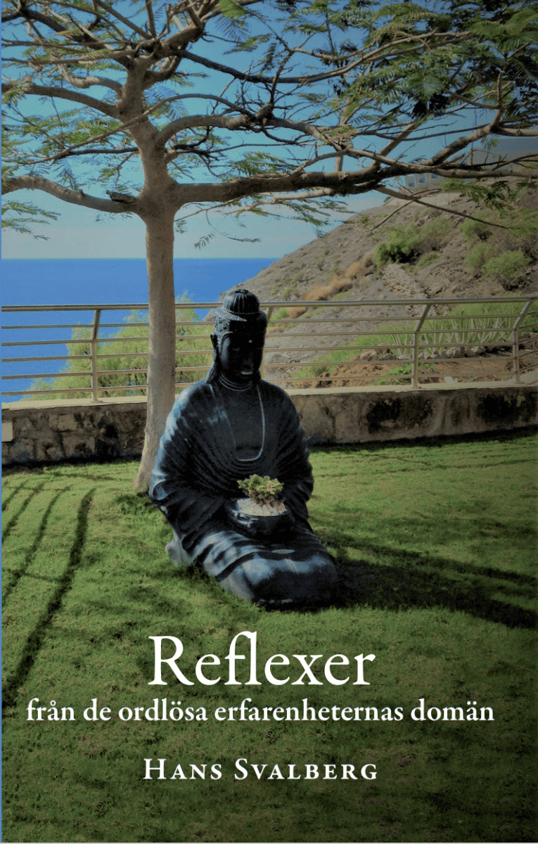Hans Svalberg : Reflexer