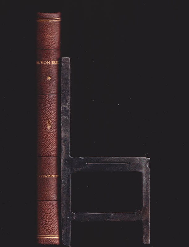 Hans von Euler-Chelpin : Vitaminer och tillväxtfaktorer