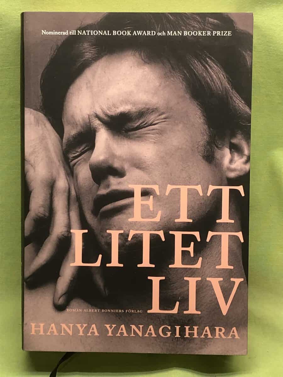 Hanya Yanagihara : Ett litet liv