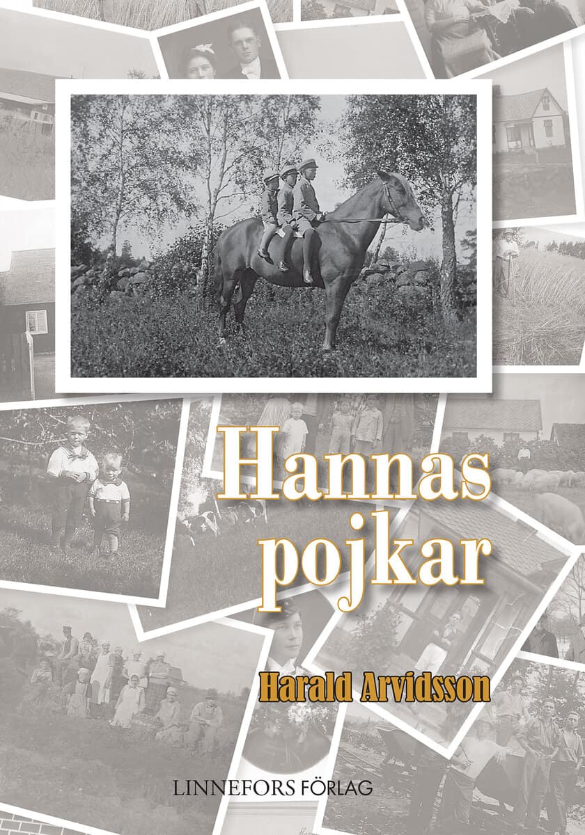 Harald Arvidsson : Hannas pojkar