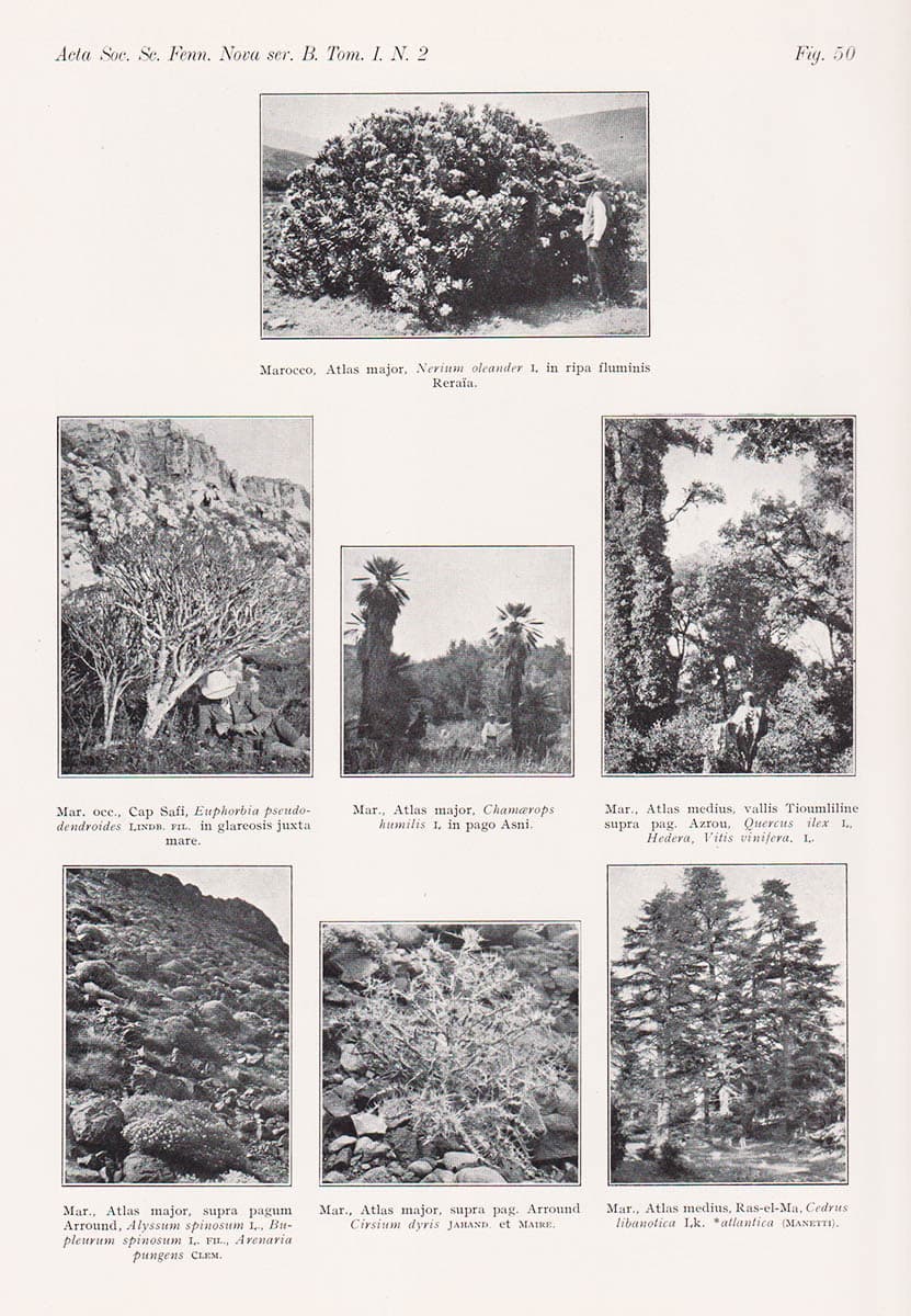 Harald Lindberg : Itinera mediterranea