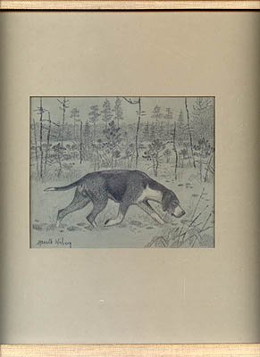 Harald Wiberg : Stövare. Blyertsteckning signerad