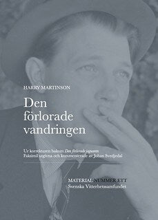 Harry Martinson : Den förlorade vandringen