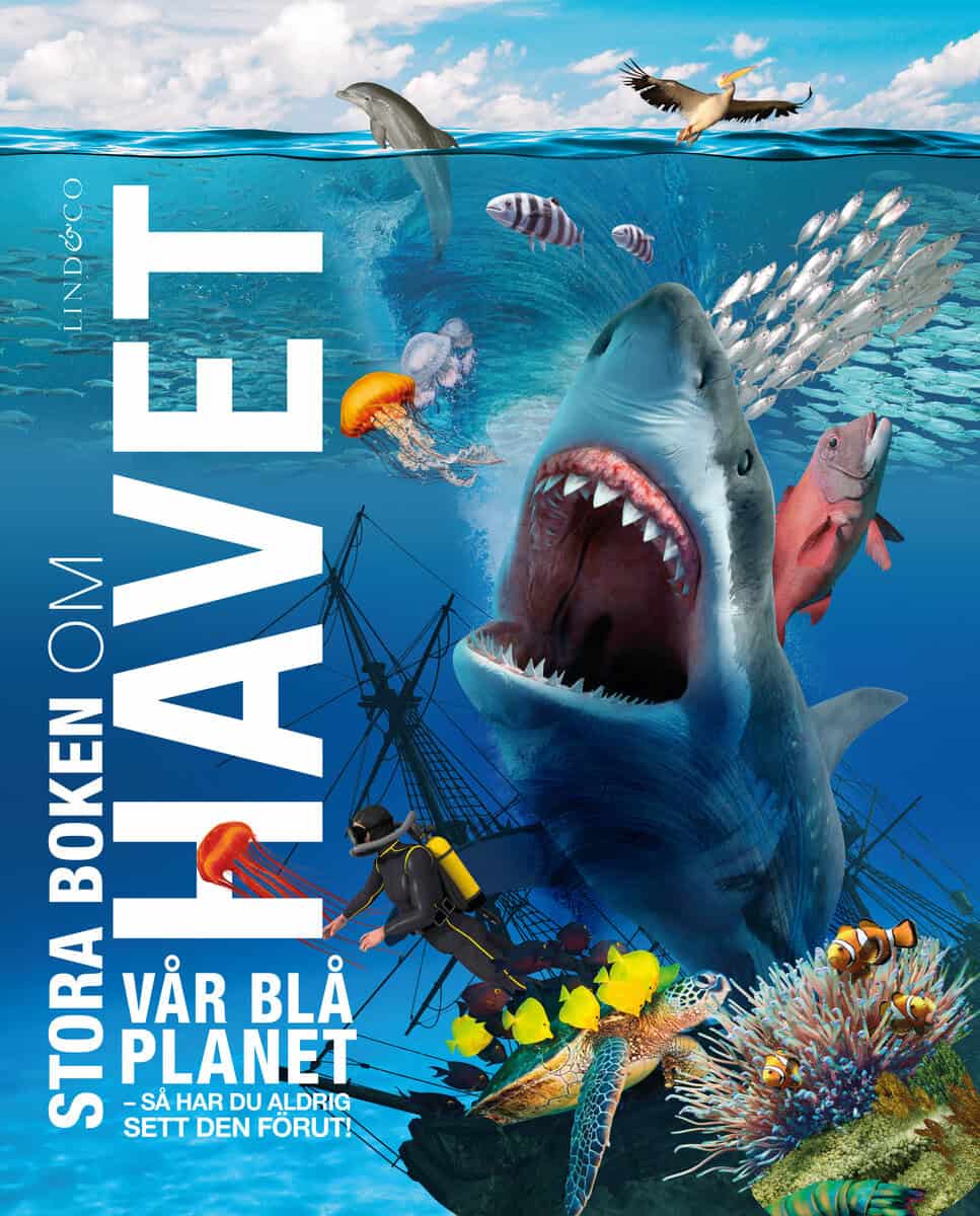 Harvey, Derek ; Temple, Nicola ; Woodward, John : Stora boken om havet
