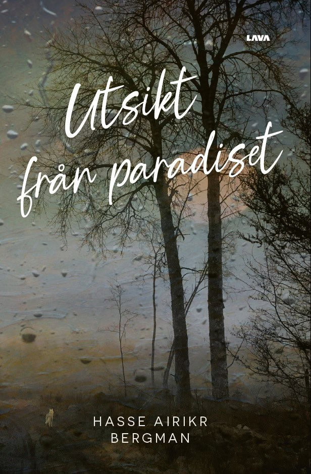 Hasse Airikr Bergman : Utsikt från paradiset