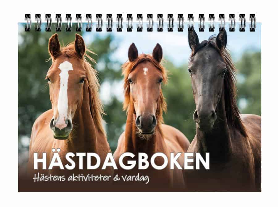 Hästdagboken