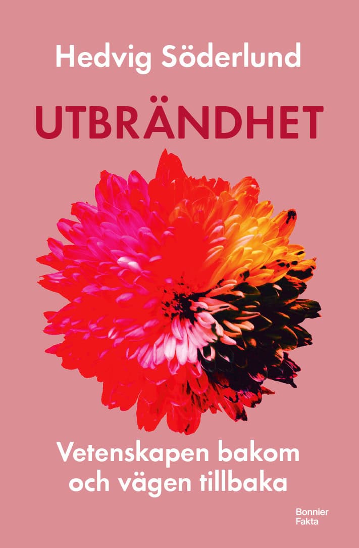 Hedvig Söderlund : Utbrändhet