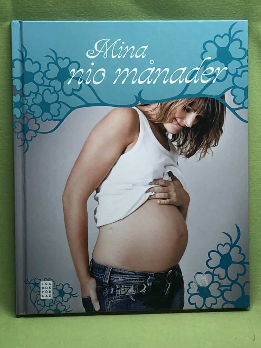 Heidi-Maria Nisén : Mina nio månader