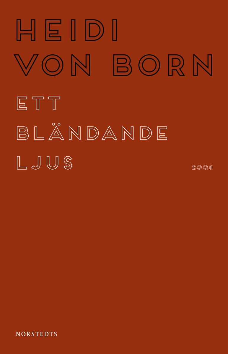 Heidi von Born : Ett bländande ljus