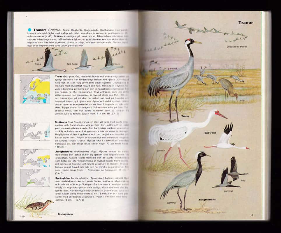 Heinzel, Hermann ; Fitter, Richard ; Parslow, John : Fåglarna i Europa, Nordafrika och Mellersta östern. Översättning och svensk bearbetning av Carl-Fredrik Lundevall (1921-2014)