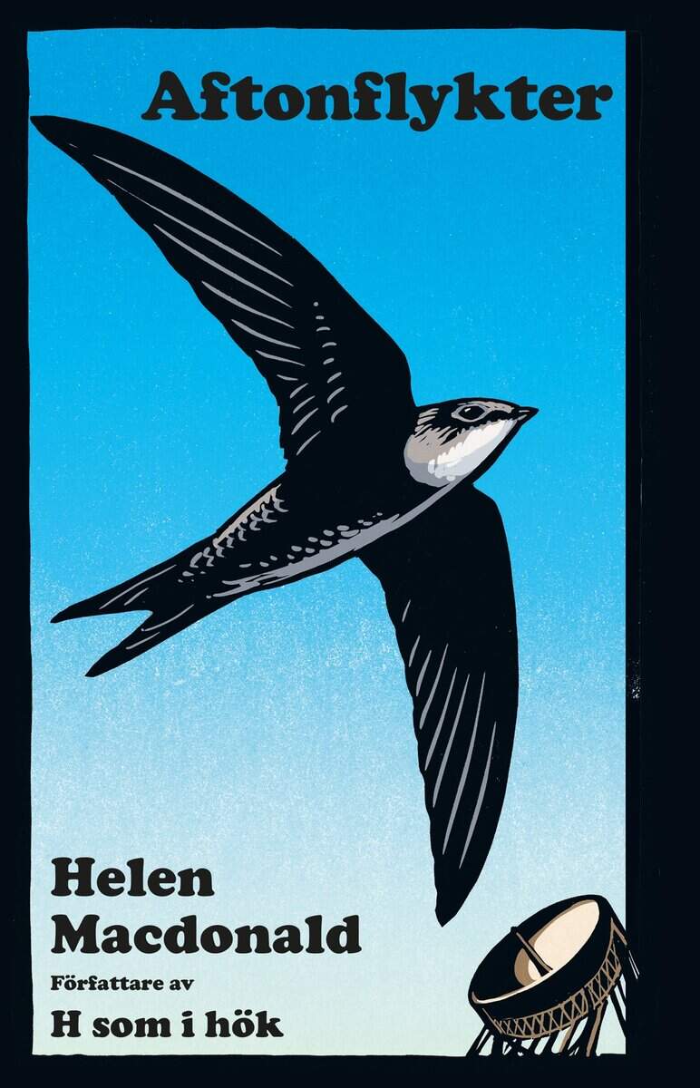 Helen Macdonald : Aftonflykter