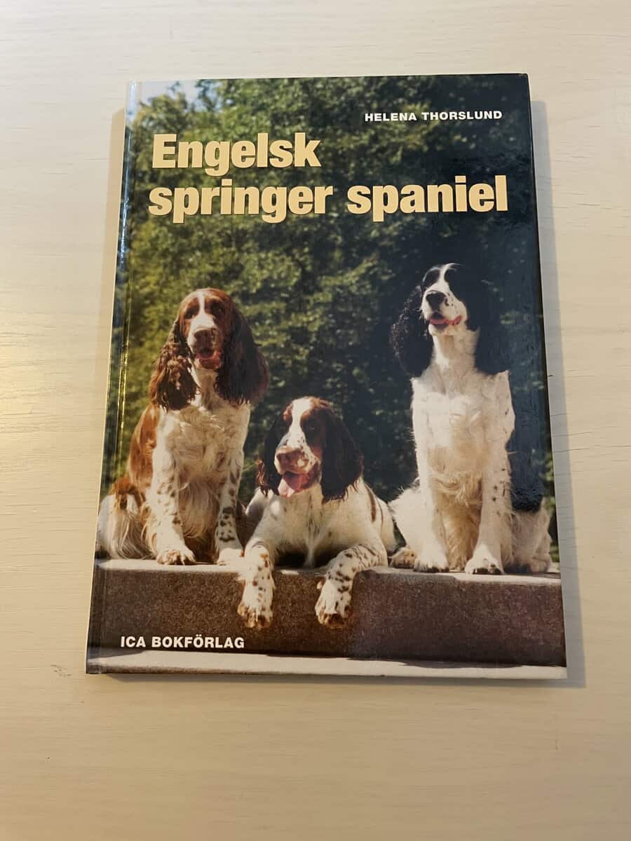 Helena Thorslund : Engelsk springer spaniel