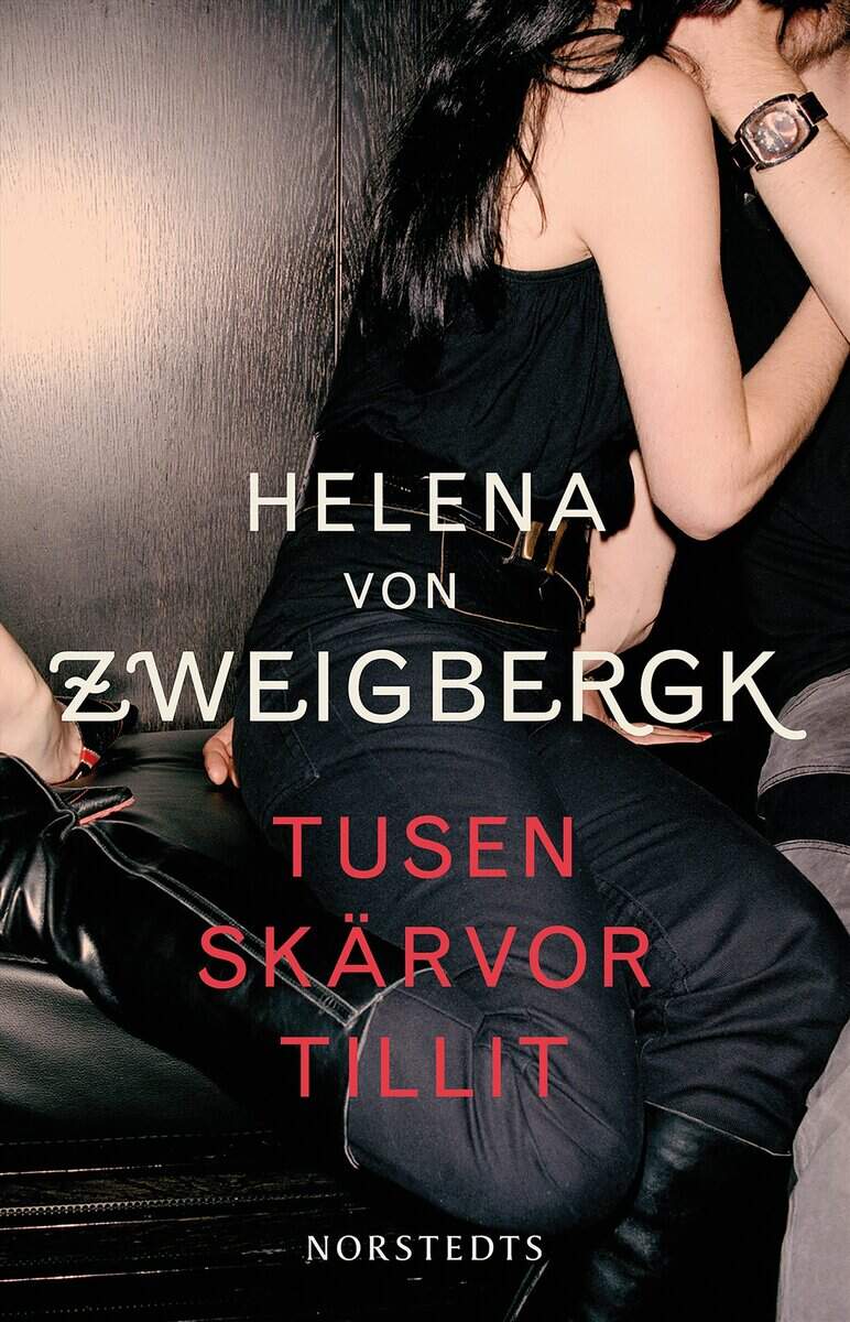 Helena von Zweigbergk : Tusen skärvor tillit