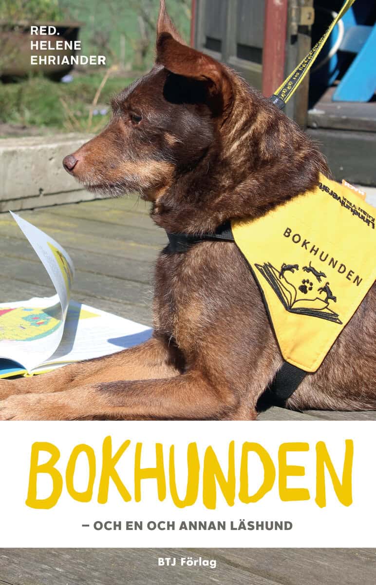 Helene Ehriander : Bokhunden