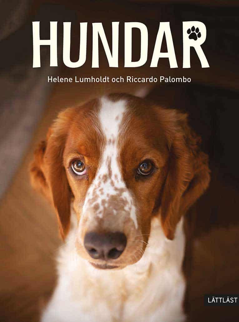 Helene Lumholdt : Hundar