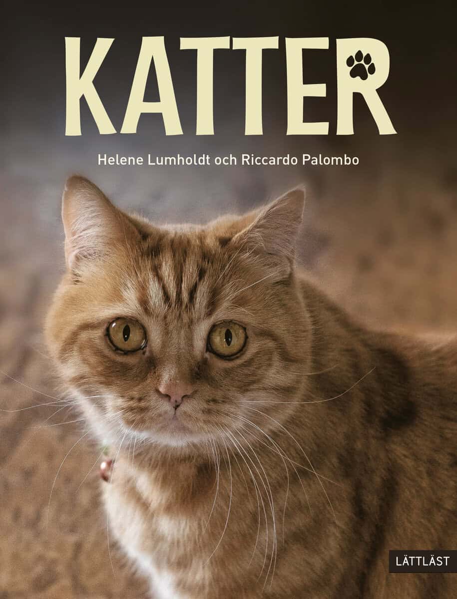 Helene Lumholdt : Katter