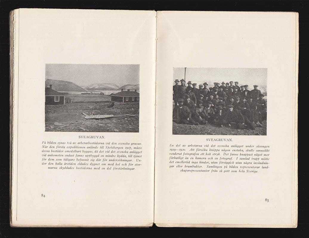 Helmer Johanson : Fem år på Spetsbergen