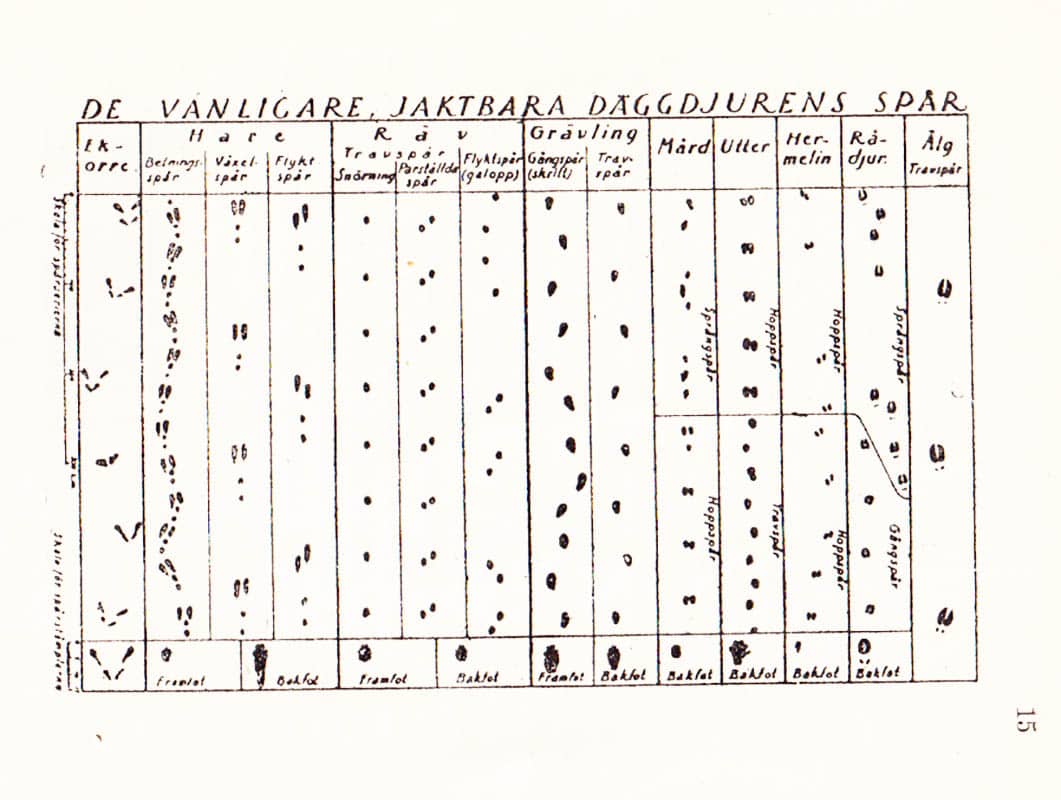 Helmer Wegin : Jakt och fiske