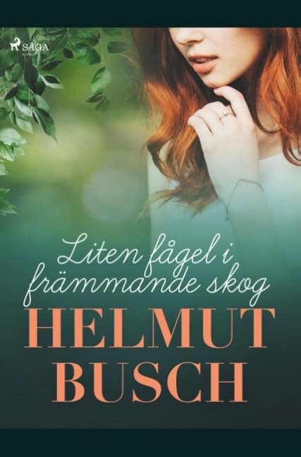 Helmut Busch : Liten fågel i främmande skog