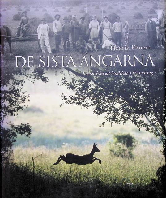 Henrik Ekman : De sista ängarna