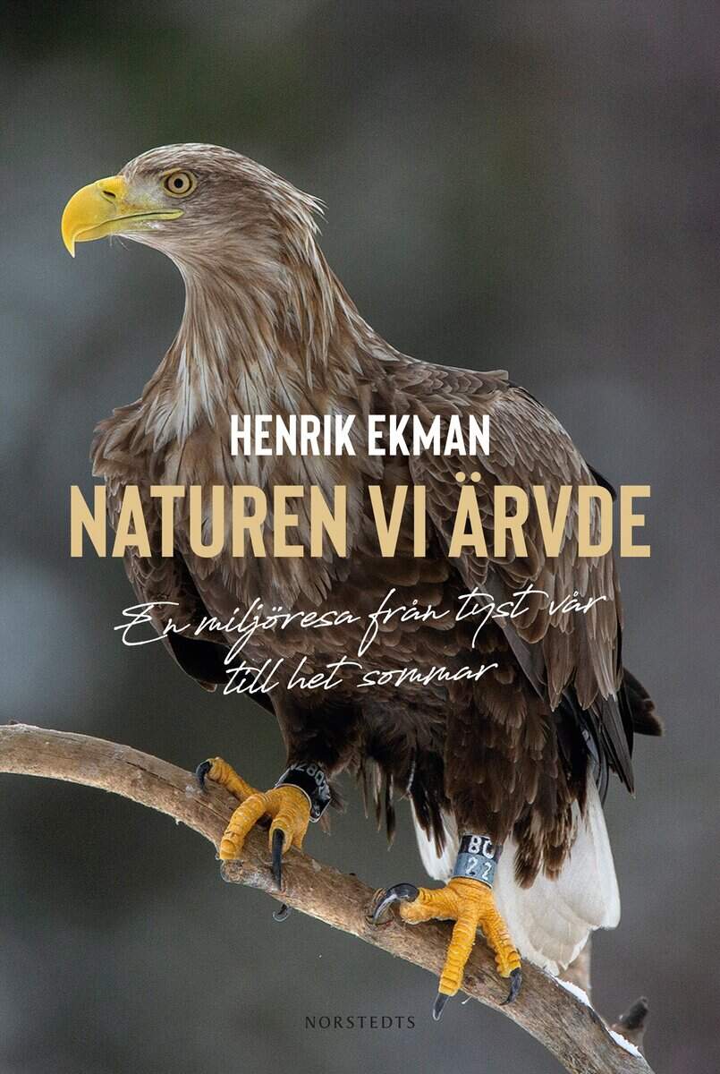 Henrik Ekman : Naturen vi ärvde : en miljöresa från tyst vår till het sommar