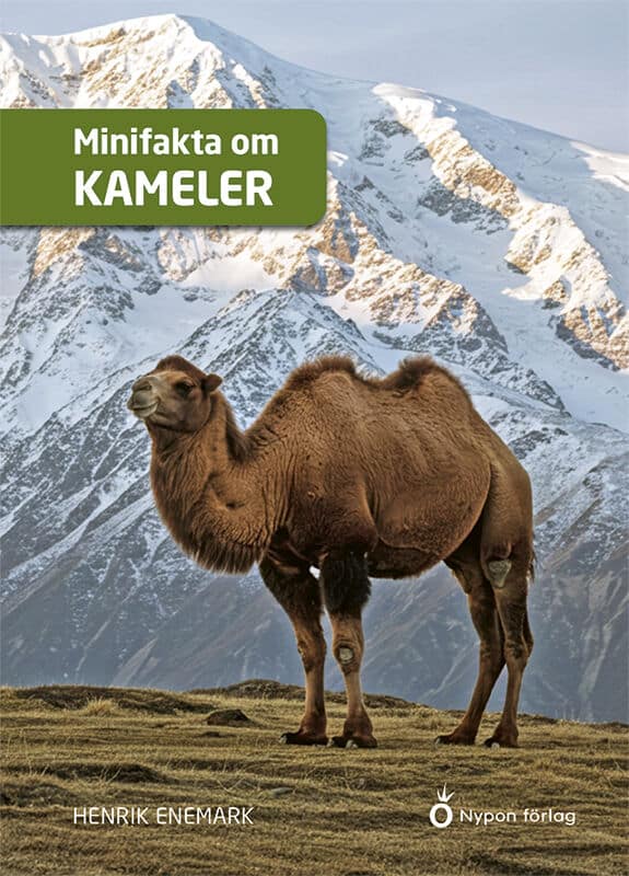 Henrik Enemark : Minifakta om kameler