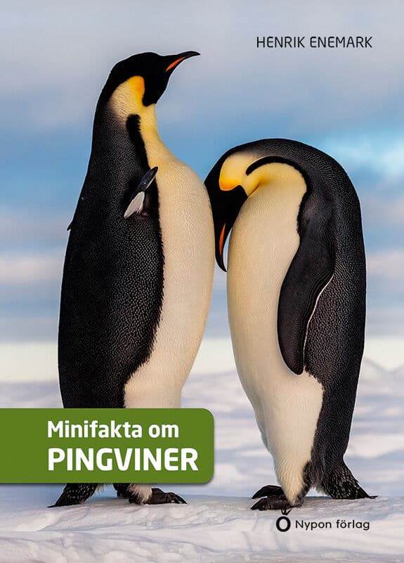 Henrik Enemark : Minifakta om pingviner