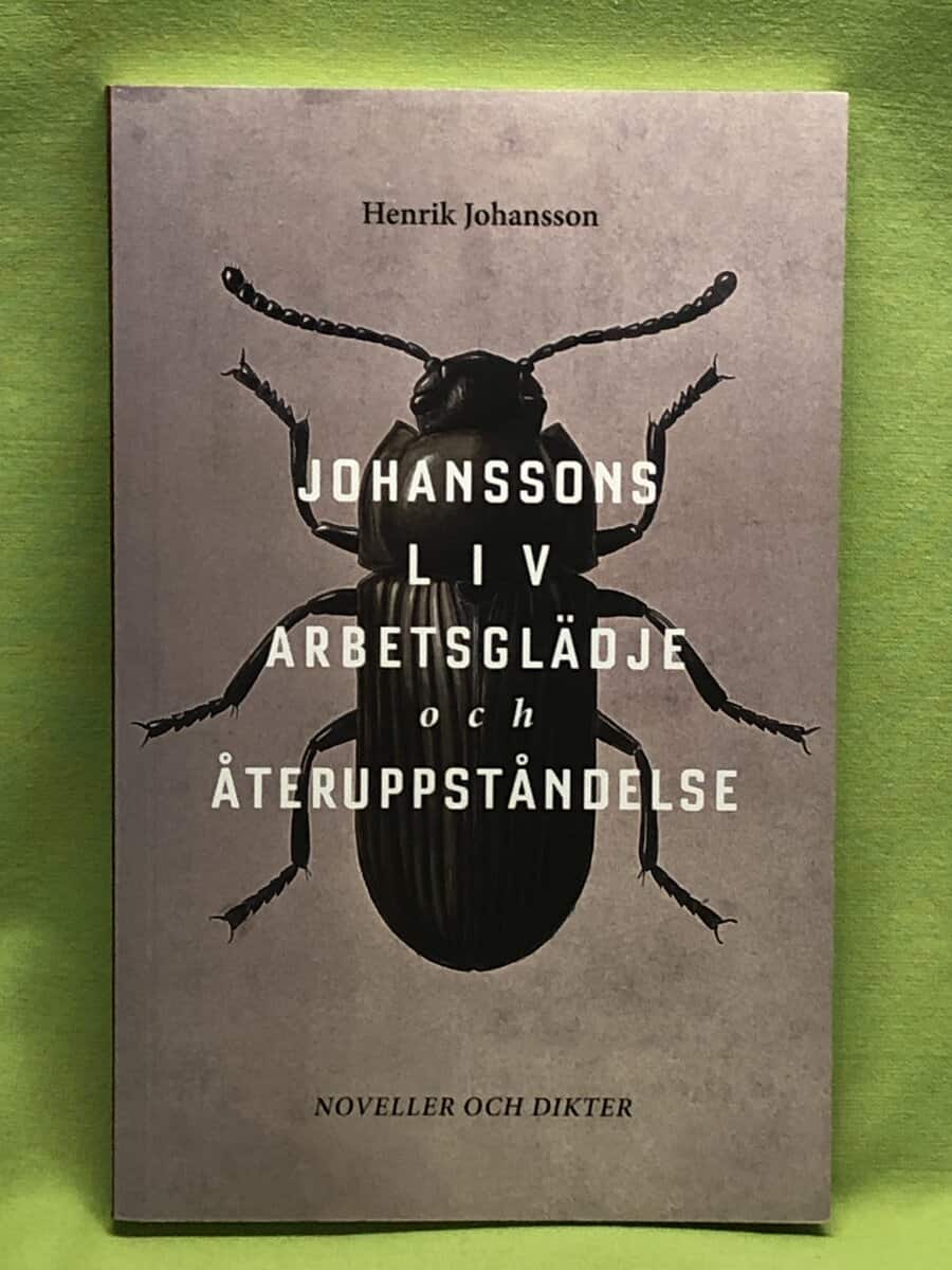 Henrik Johansson : Johanssons liv arbetsglädje och återuppståndelse
