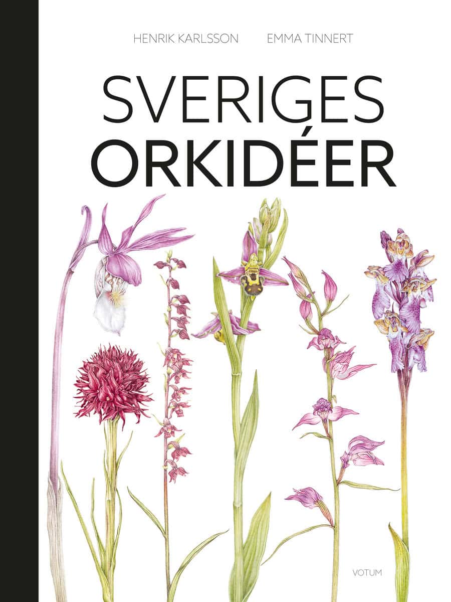 Henrik Karlsson : Sveriges orkidéer