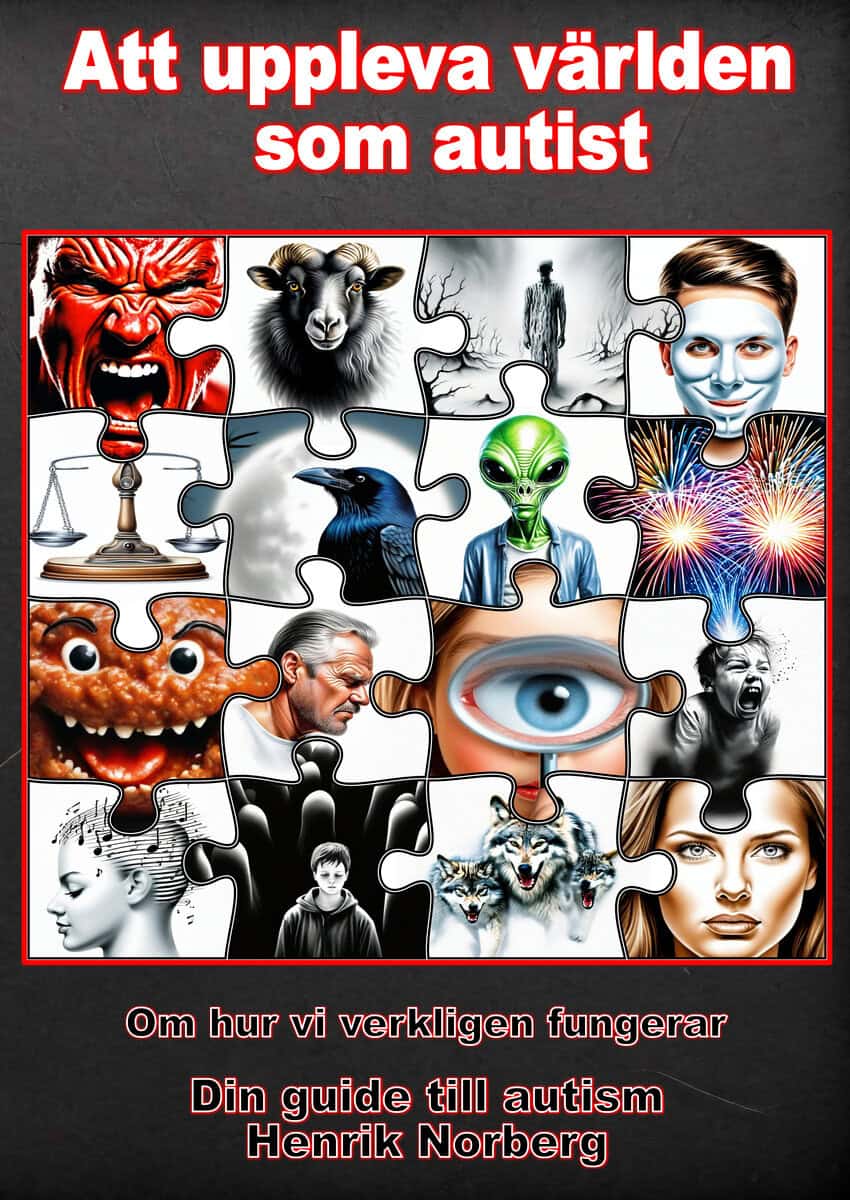 Henrik Norberg : Att uppleva världen som autist