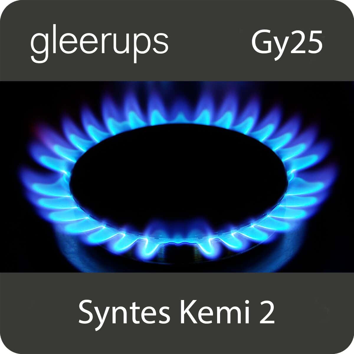 Henriksson, Anders ; Johansson, Annika ; Zetterberg, Erik : Syntes Kemi 2, digitalt läromedel, elev, 6 mån, Gy25