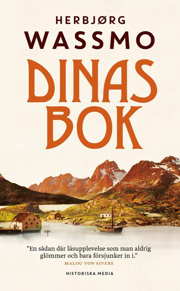 Herbjørg Wassmo : Dinas bok